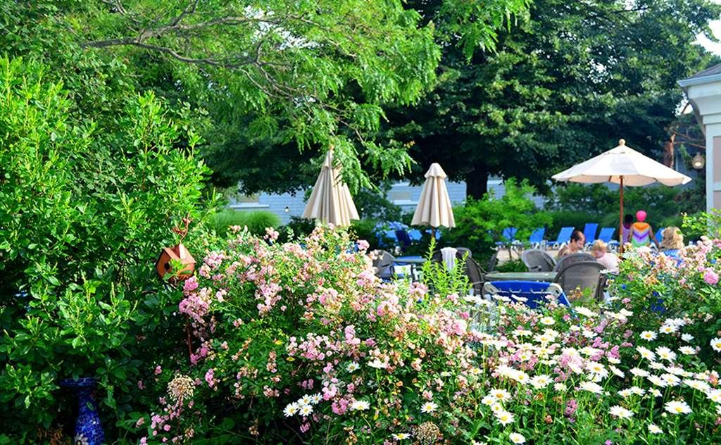 Margaritaville Resort Cape Cod Hyannis Servizi foto